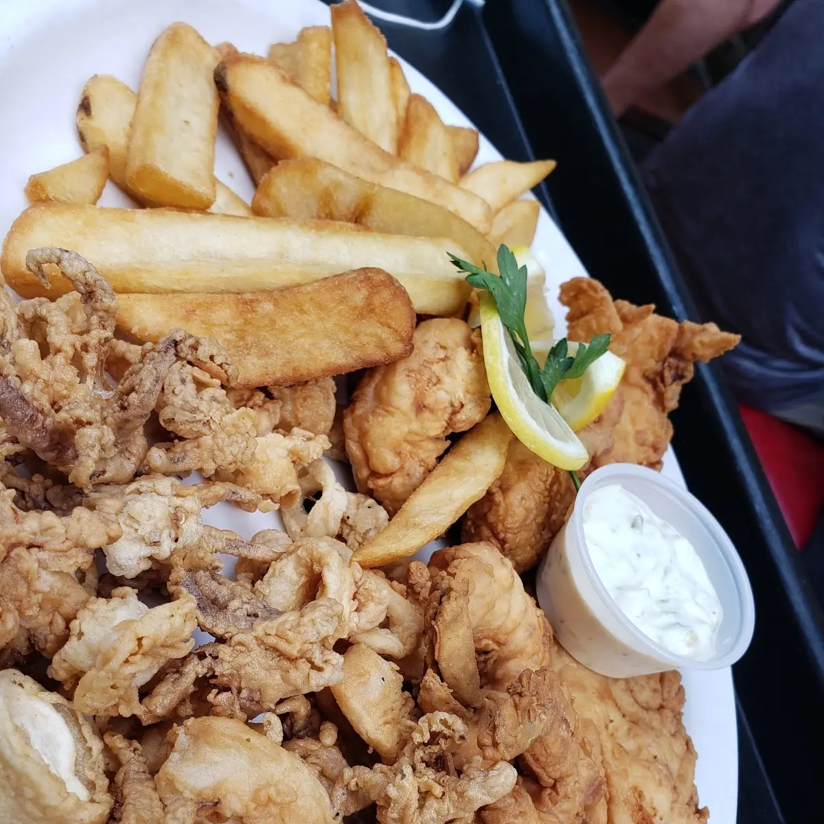 Fried Calamari
