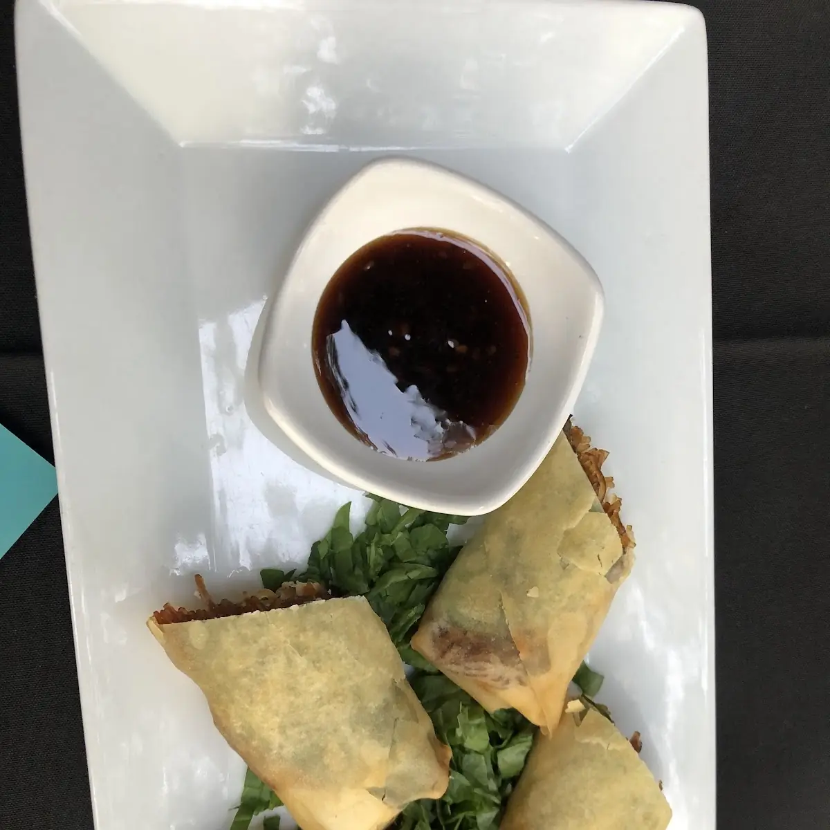 Pho Spring Roll