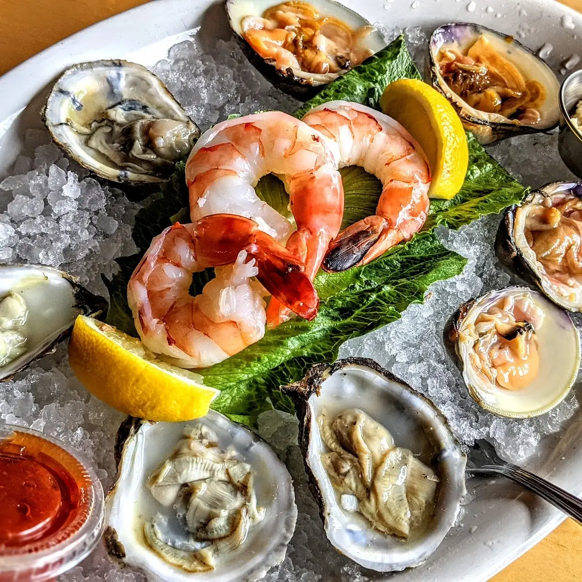 Daily Catch Oysters on the Half Shell