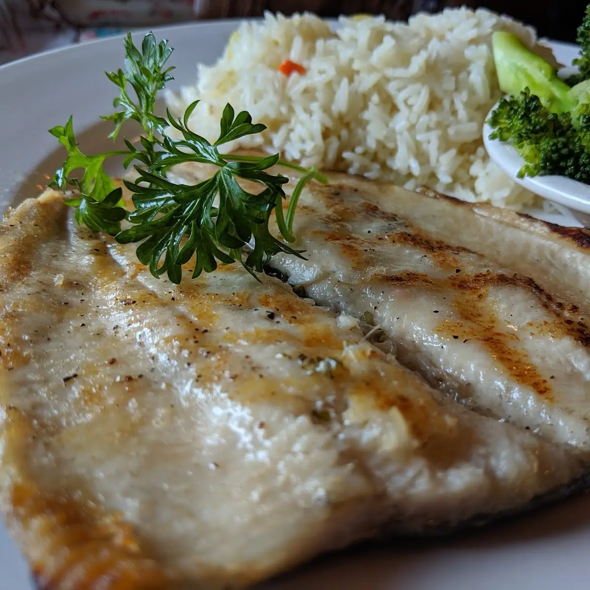 Rainbow Trout Grilled