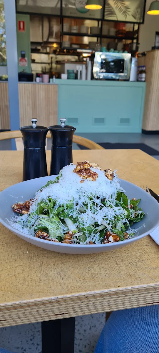 Salad, Oscar Italia