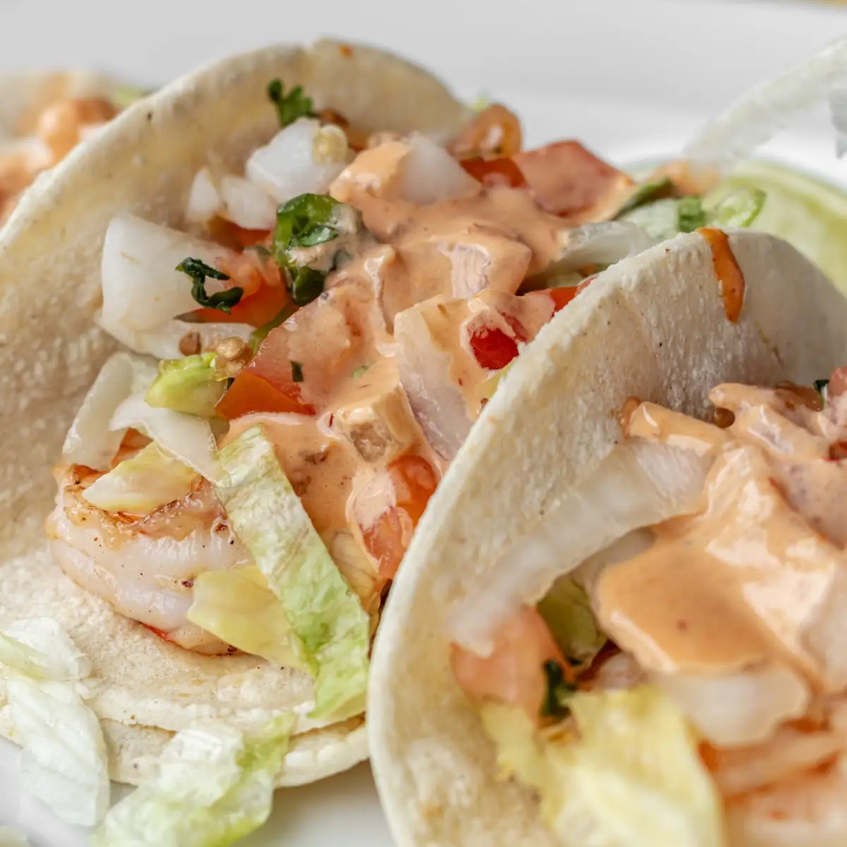 Grilled Chicken Fajita