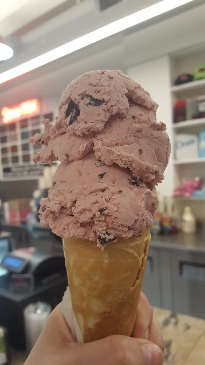 Raspberry Chocolate Chip Ice Cream