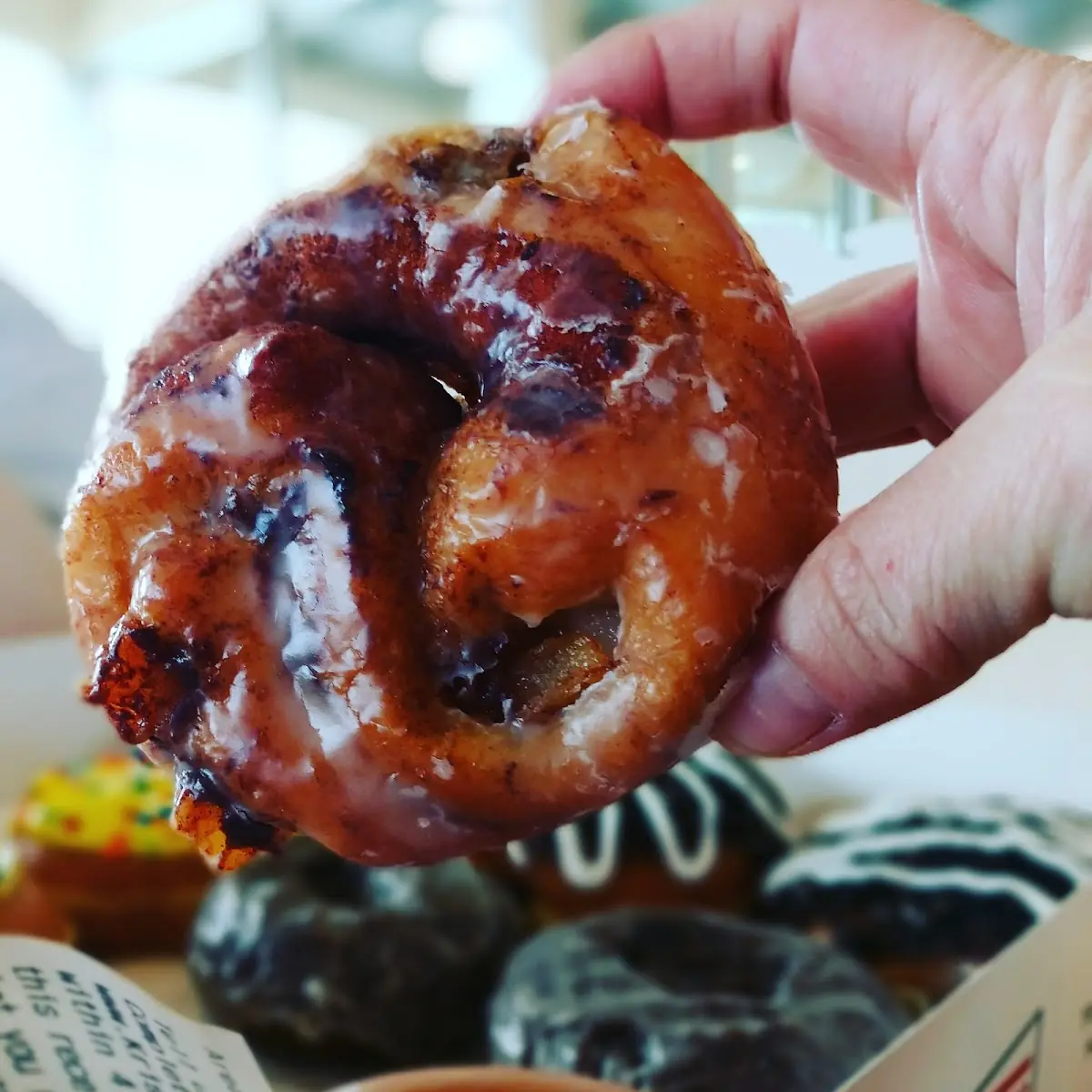 Apple Fritters