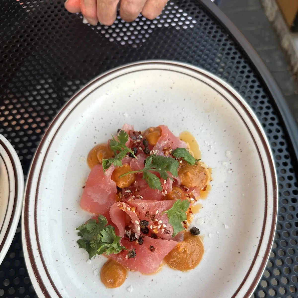 Yellow Fin Tuna