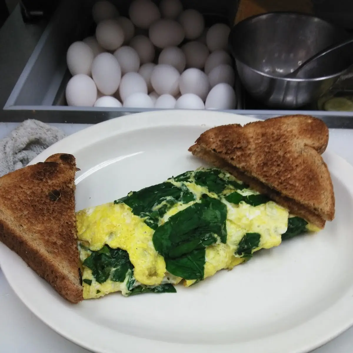 Spinach Cheese Omelet