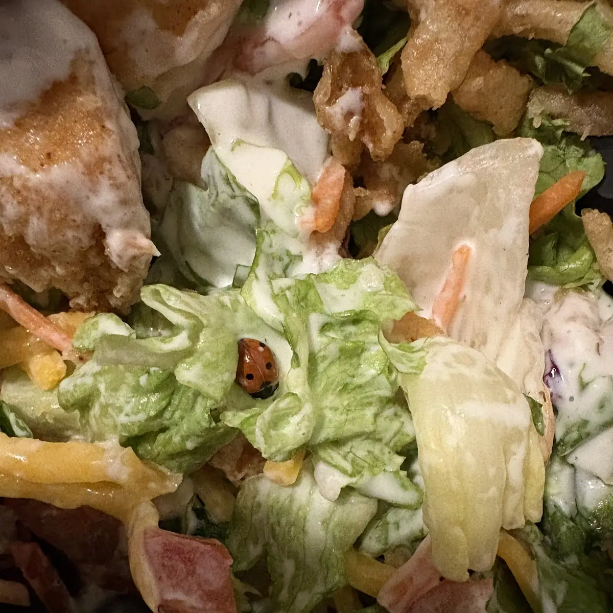 The House Salad