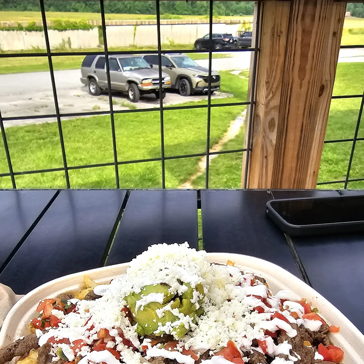 Carne Asada Fries