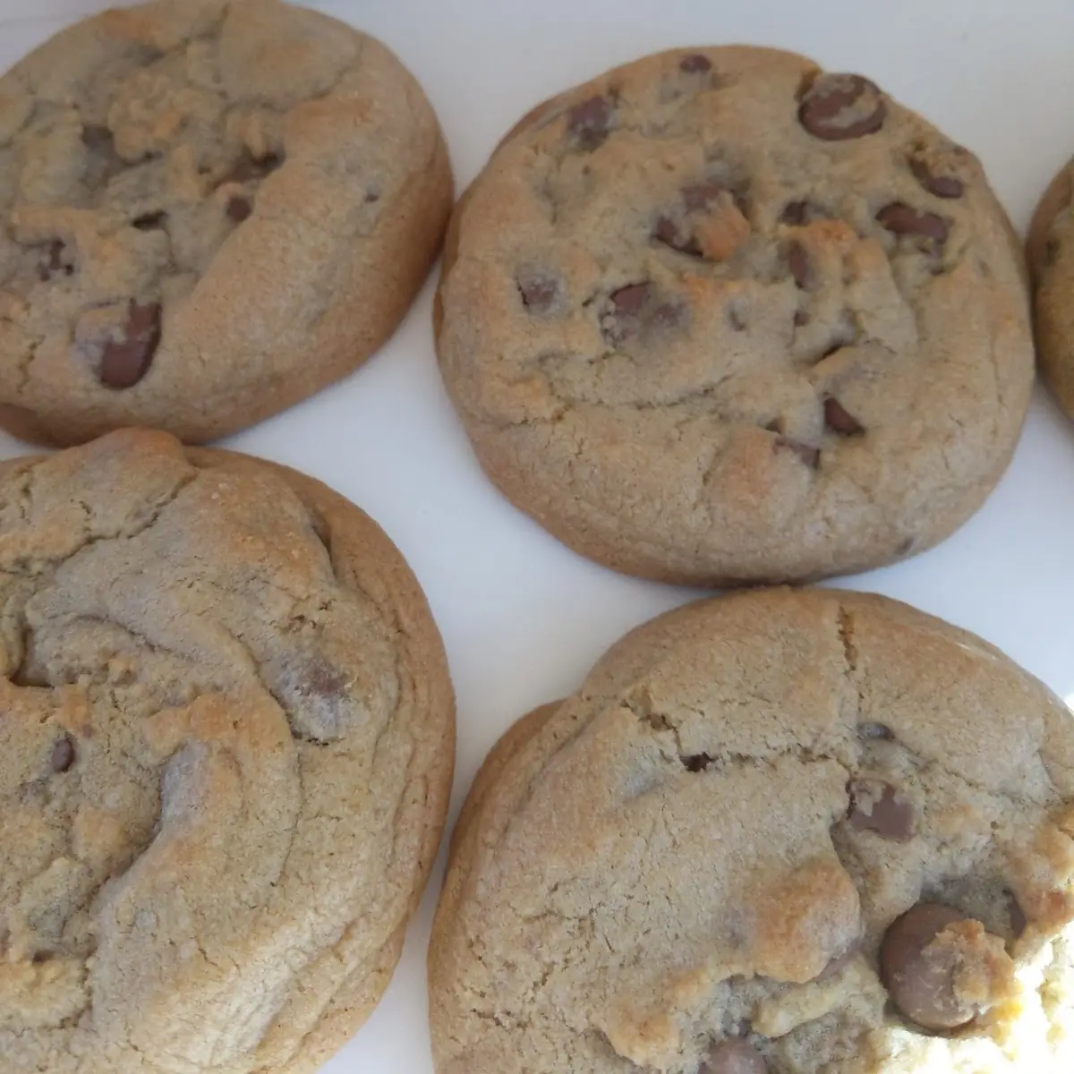Milk Chocolate Chip