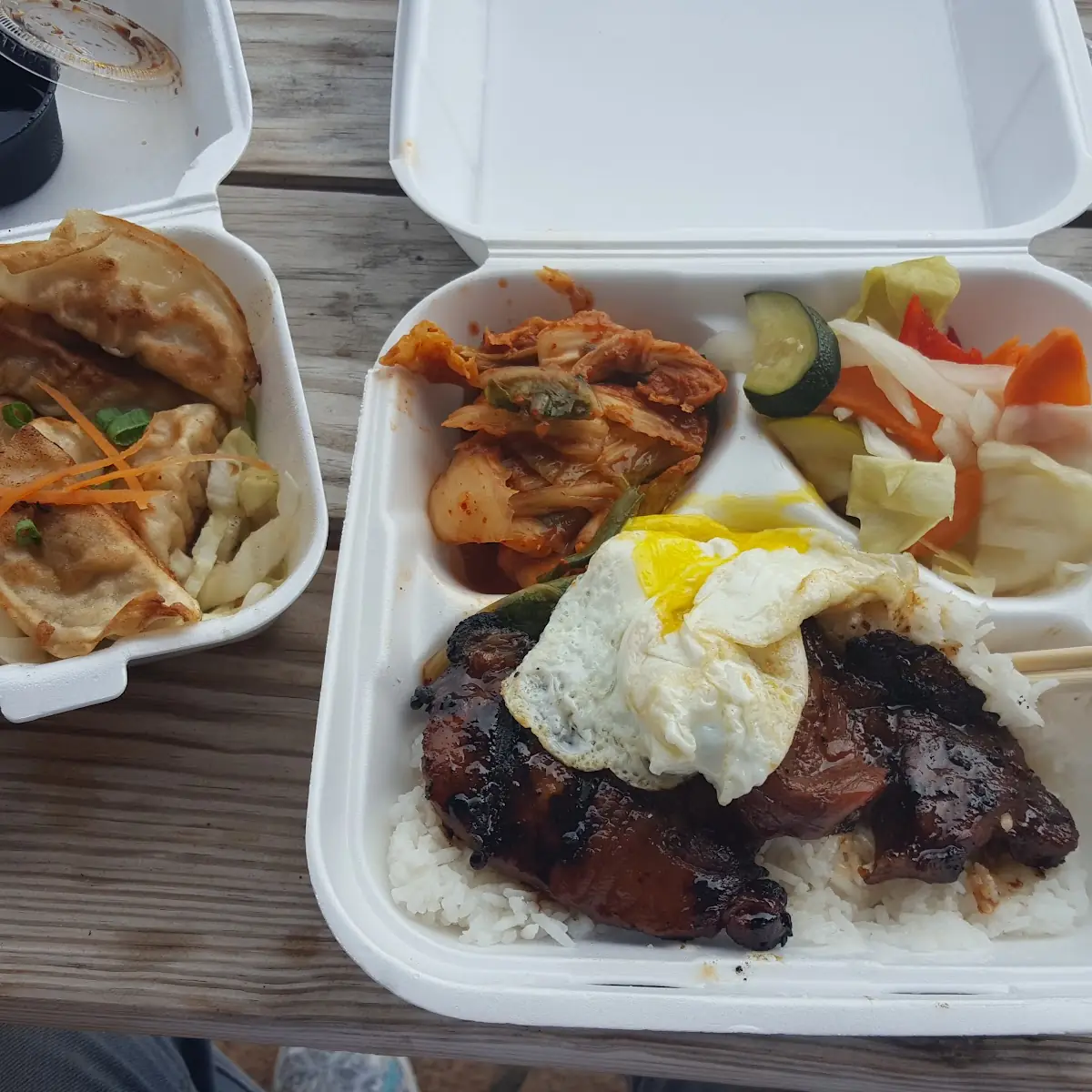 Fried Pork Pot Stickers