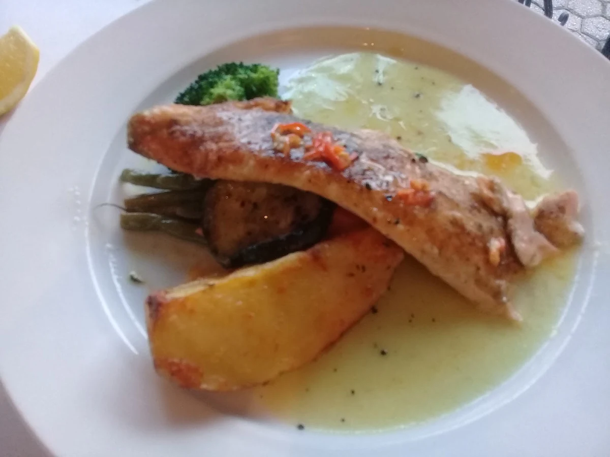 Arctic Char