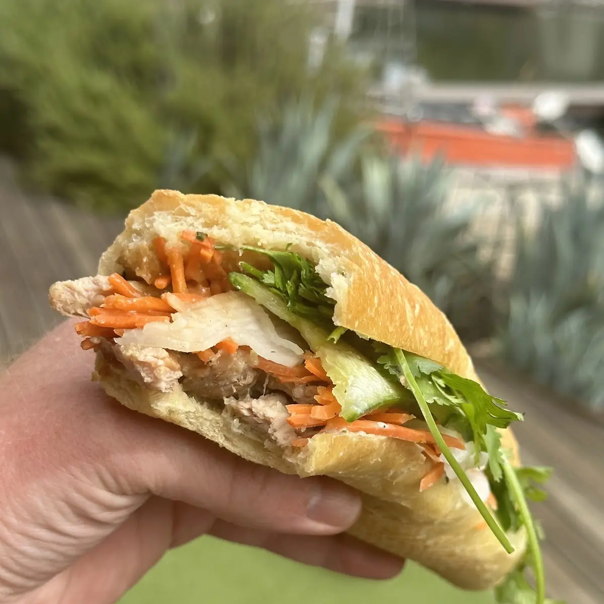 Bánh Mì