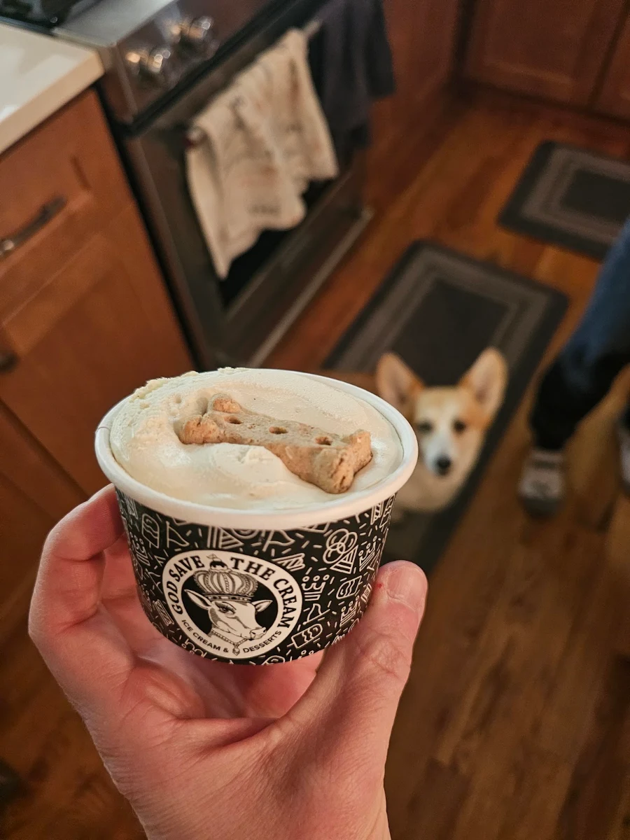 Gelato
