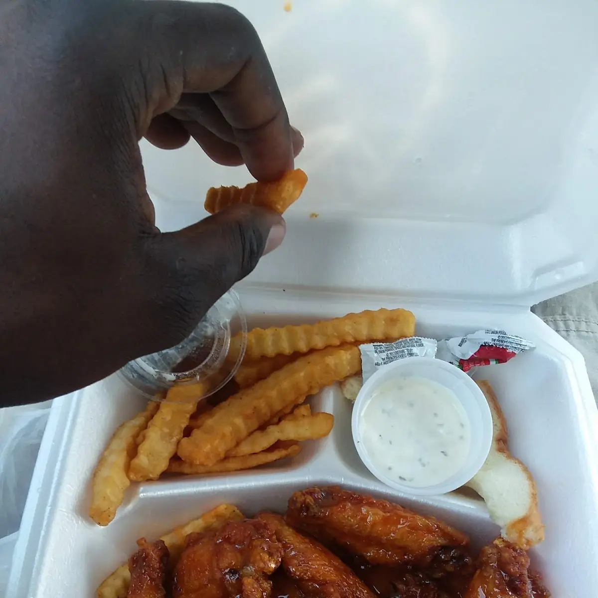 Wings and Fries