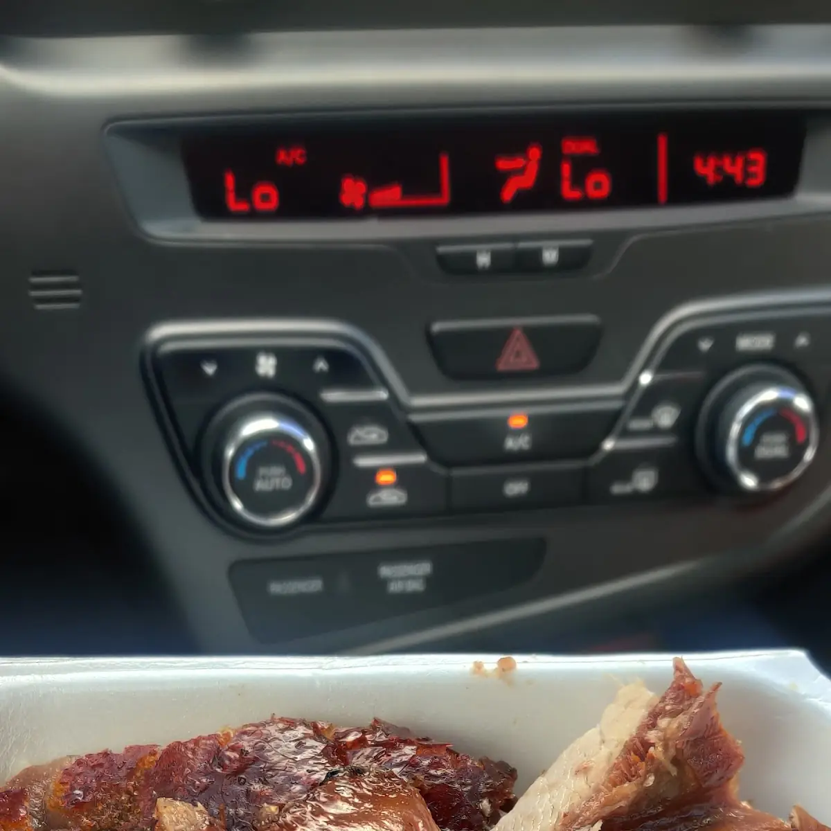 Lechon Asado
