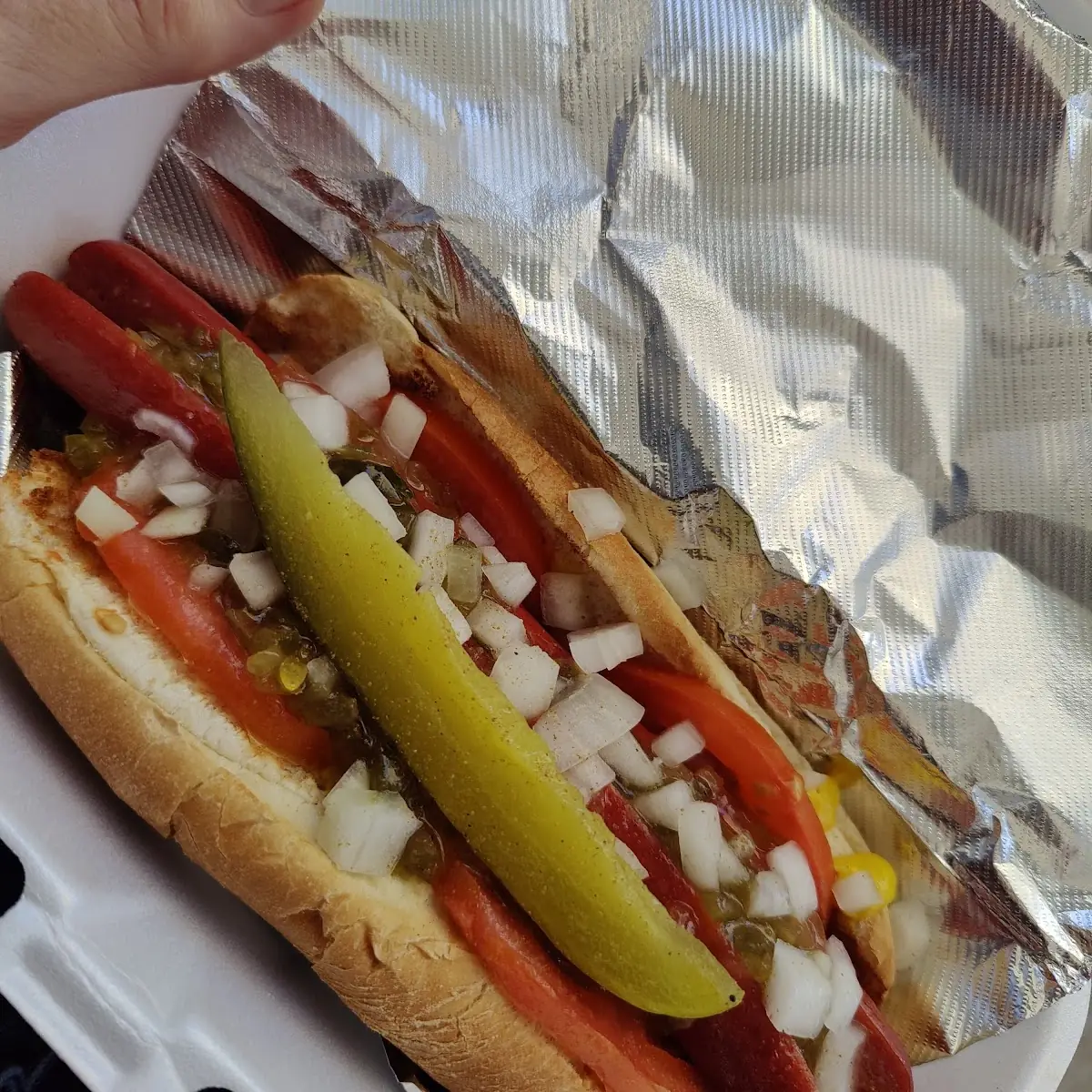 Chicago Dog