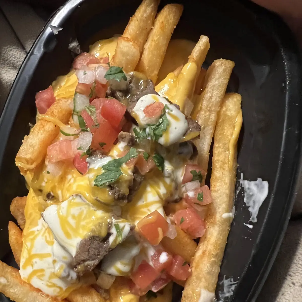 Loaded Fries