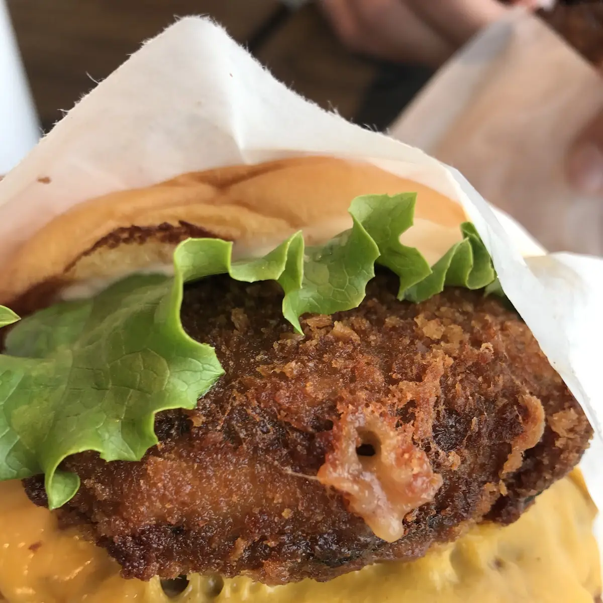 Mushroom Burger
