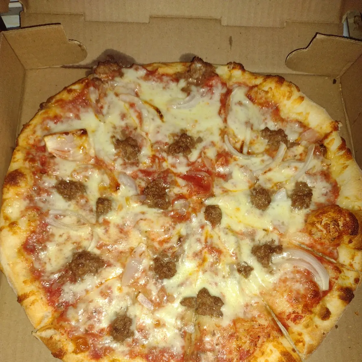 Cheese Pizza Hamburger Onion