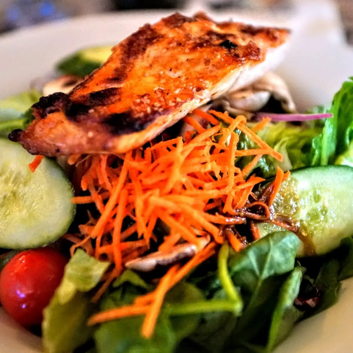Grilled Salmon Salad