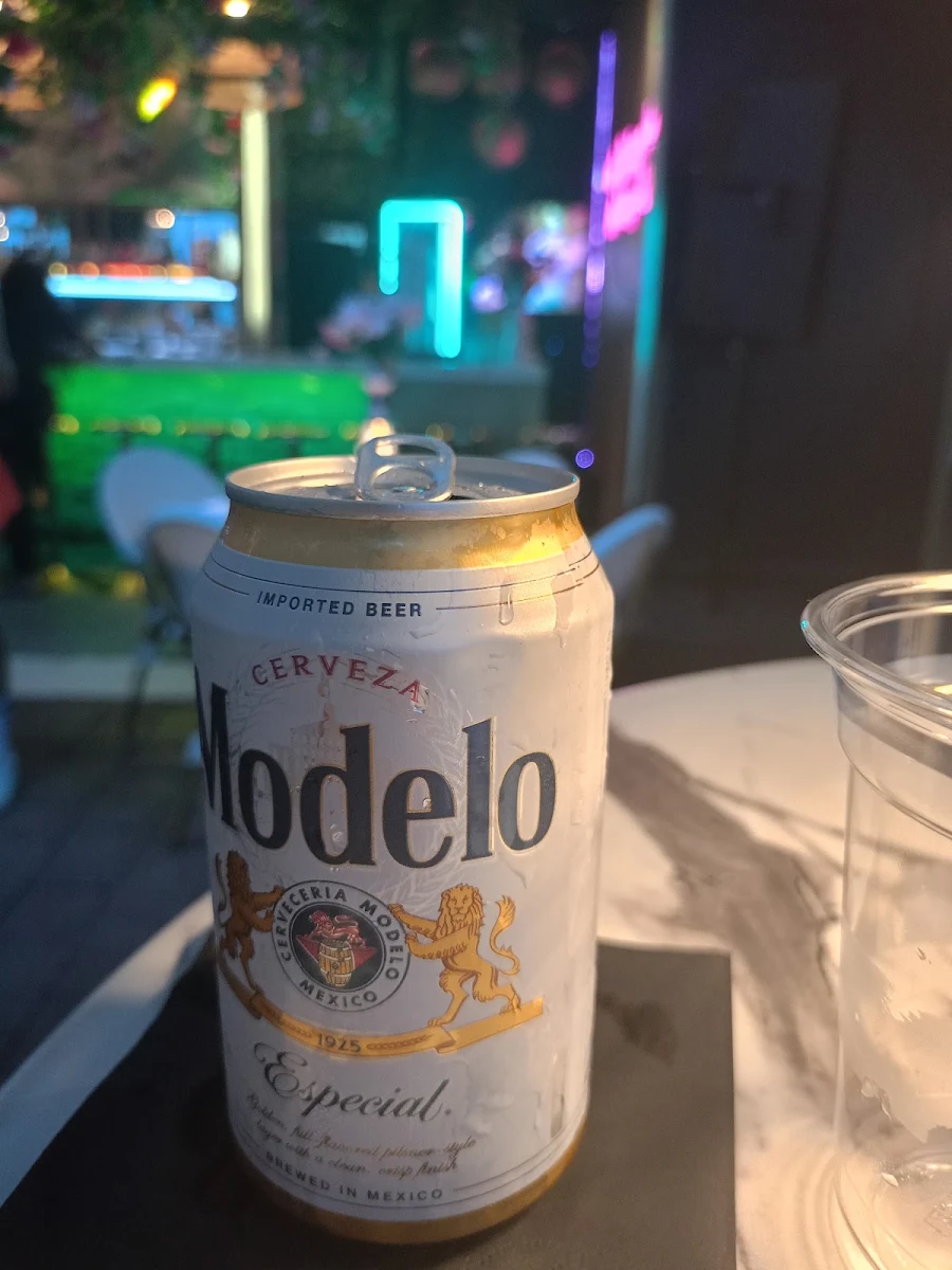 Modelo Especial