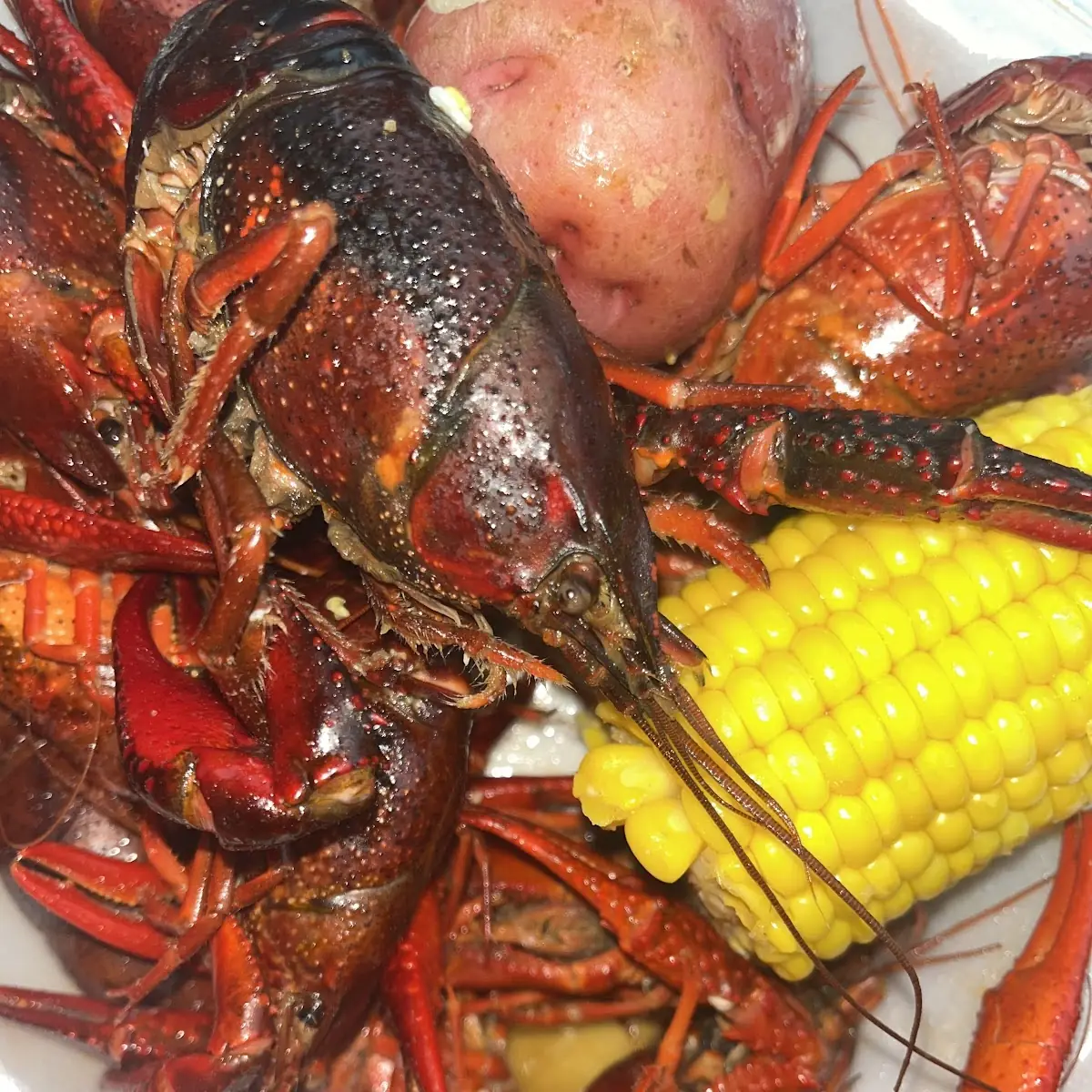 Boiled Crawfish with Corn Side