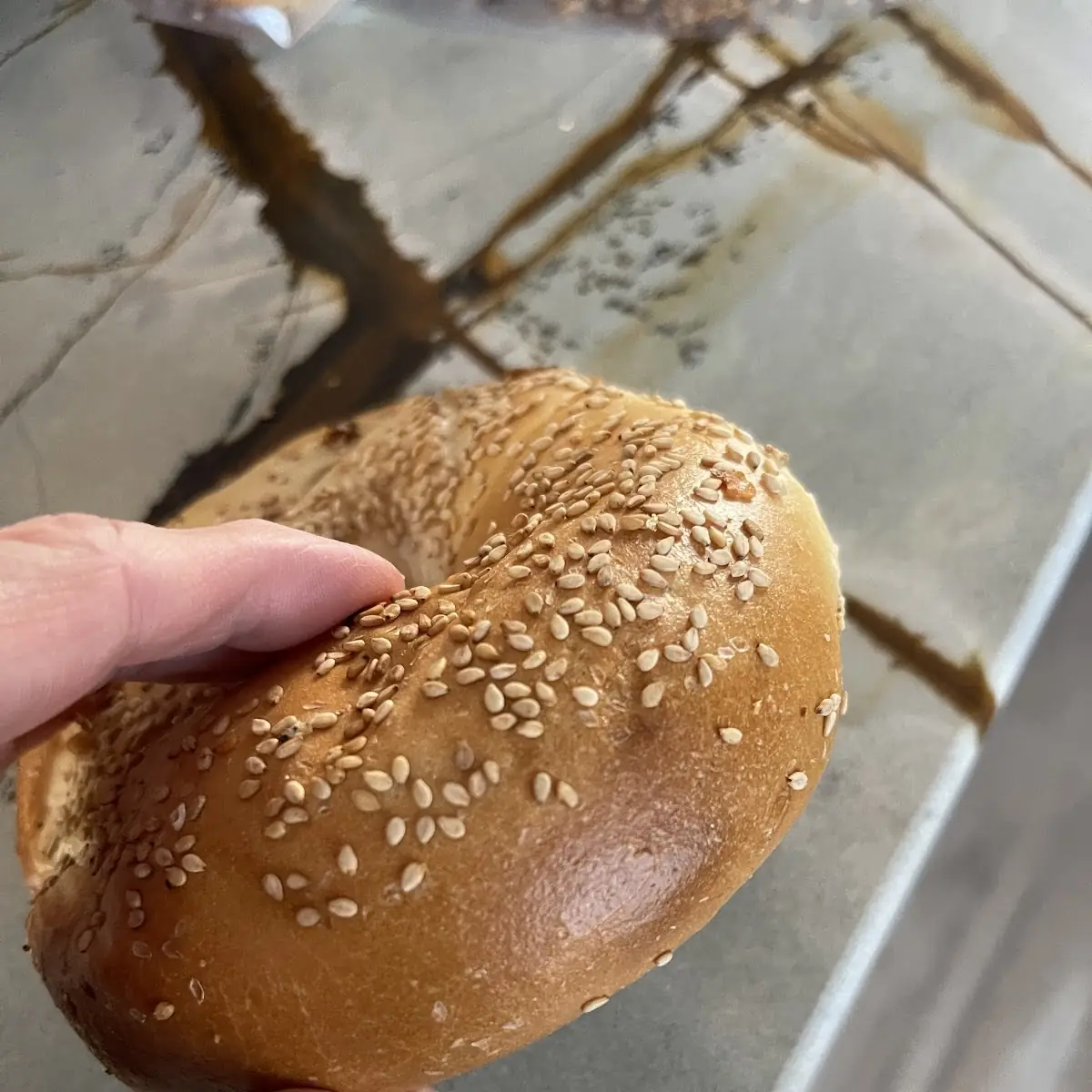Whole Wheat Everything