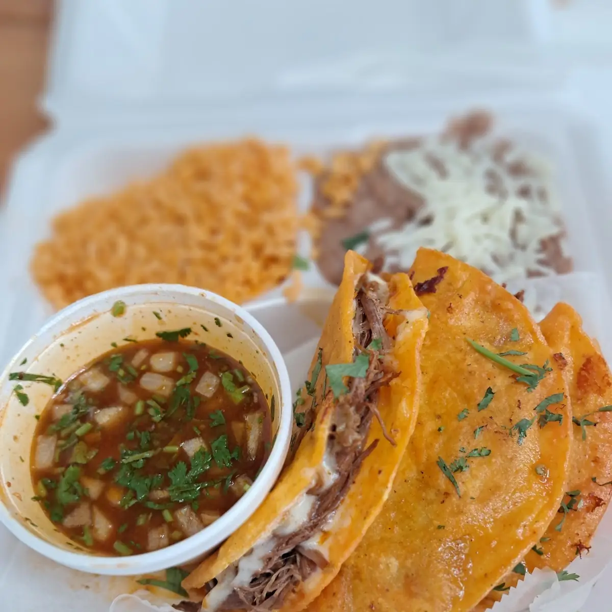 Birria Plate