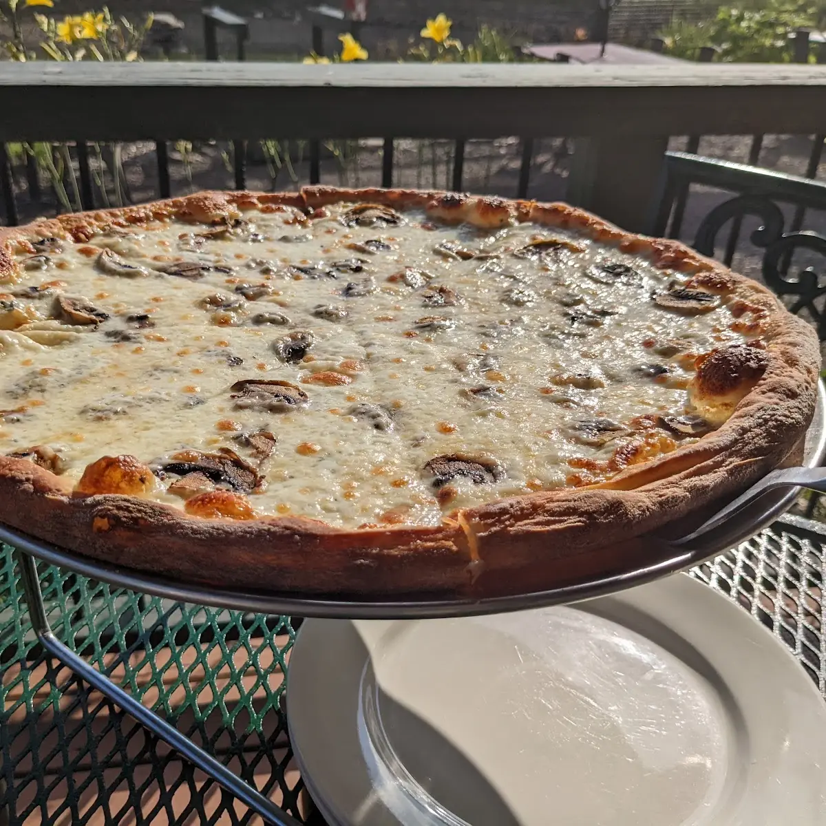 Mushroom Pizza