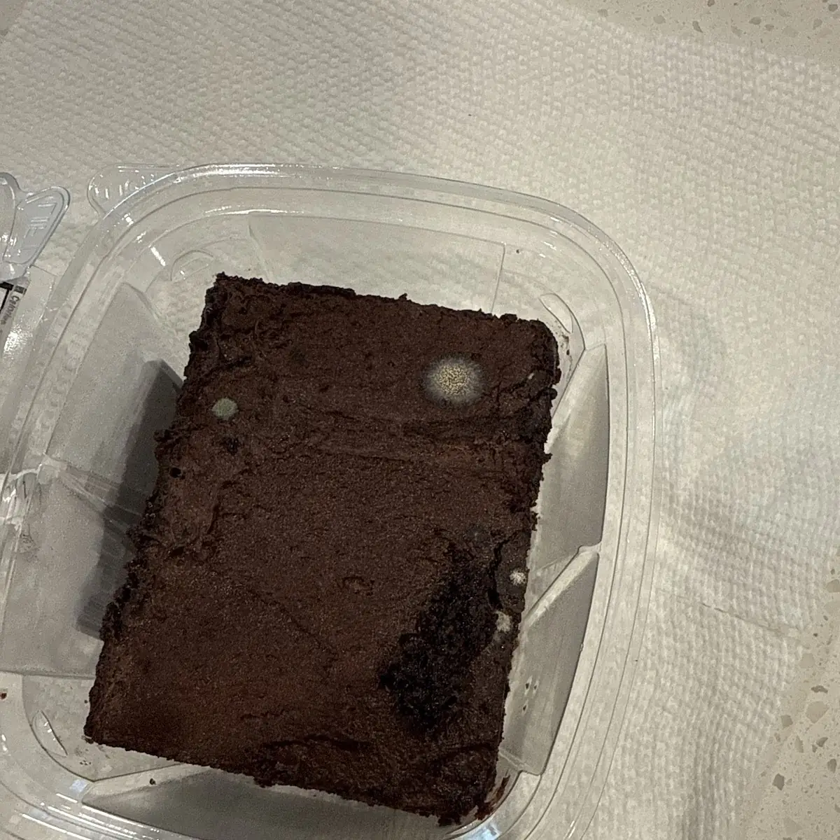Chocolate Cake SF