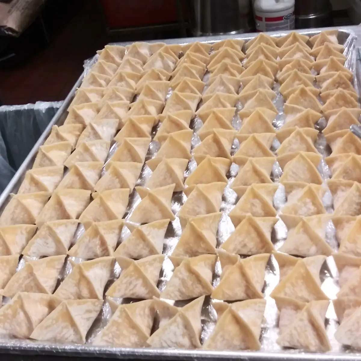 Cream Cheese Gyoza