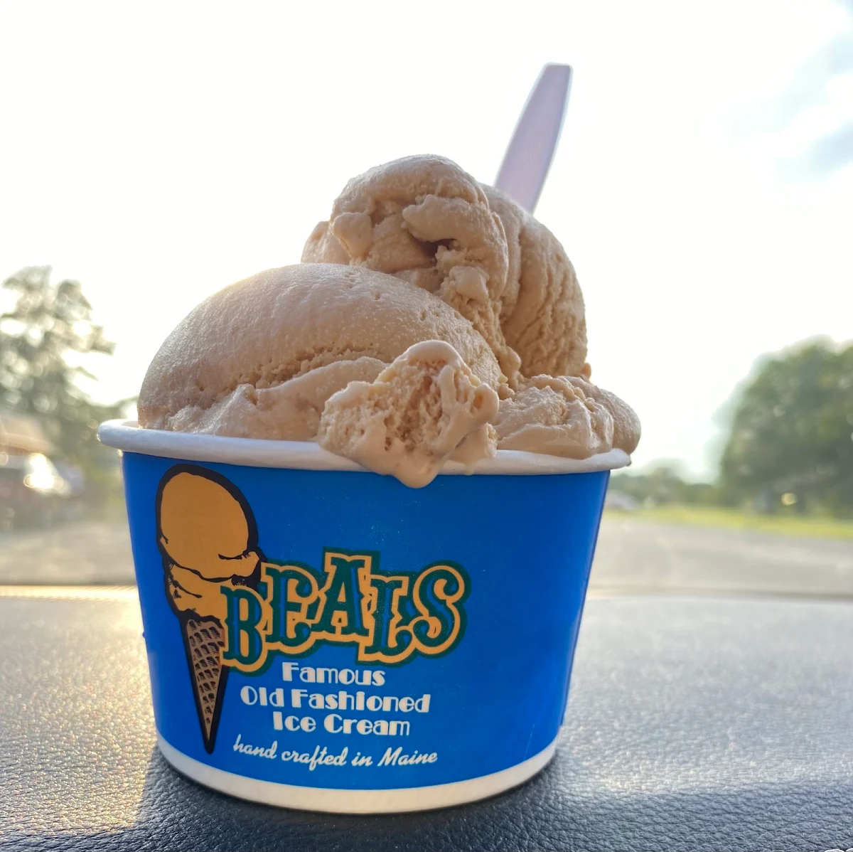 Toasted Marshmallow Ice Cream
