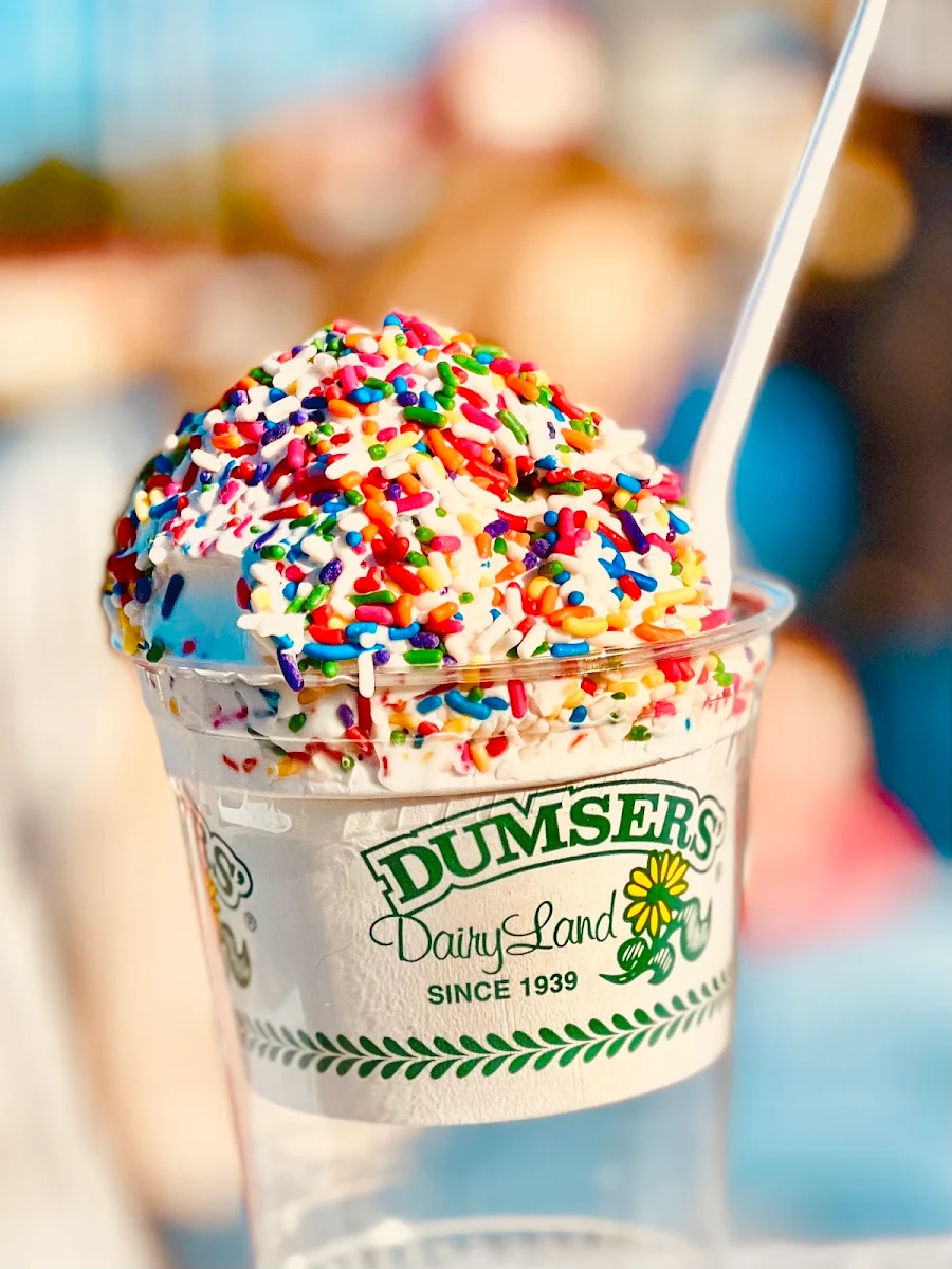Soft Vanilla Ice Cream with Rainbow Sprinkles