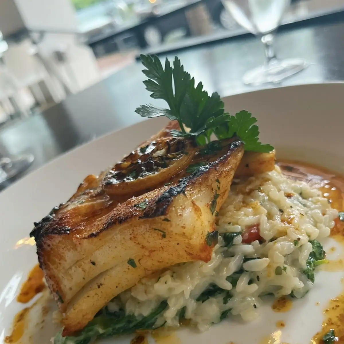 Jumbo Lump Crab Cake