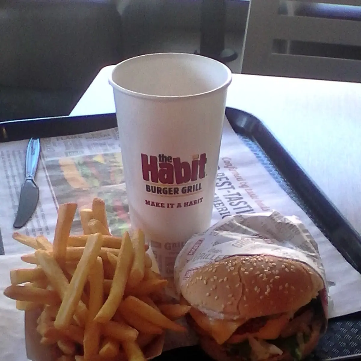 Cheese Burger and Fries