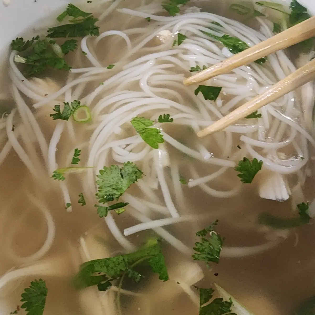 Chicken Pho