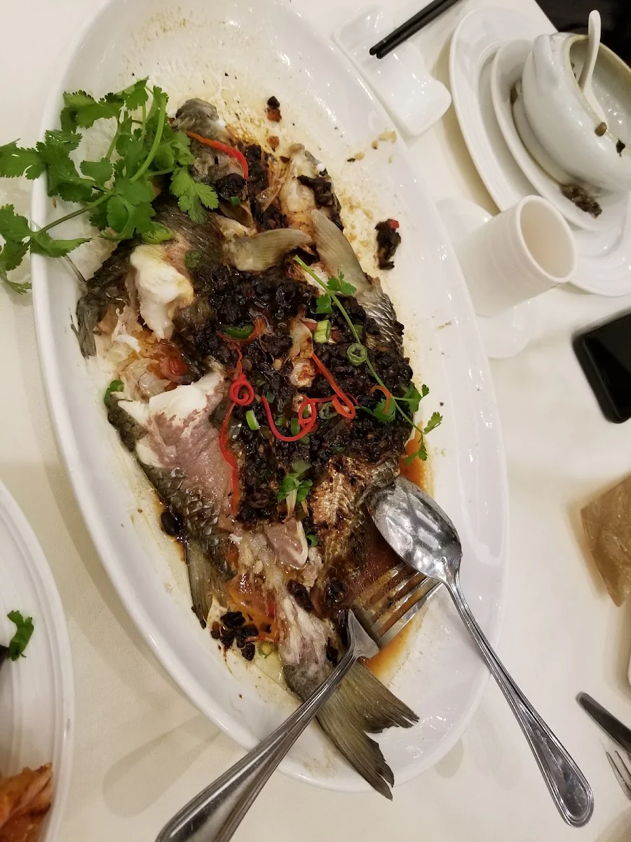 Steamed Live Rock Cod, Sea Harbour Restaurant