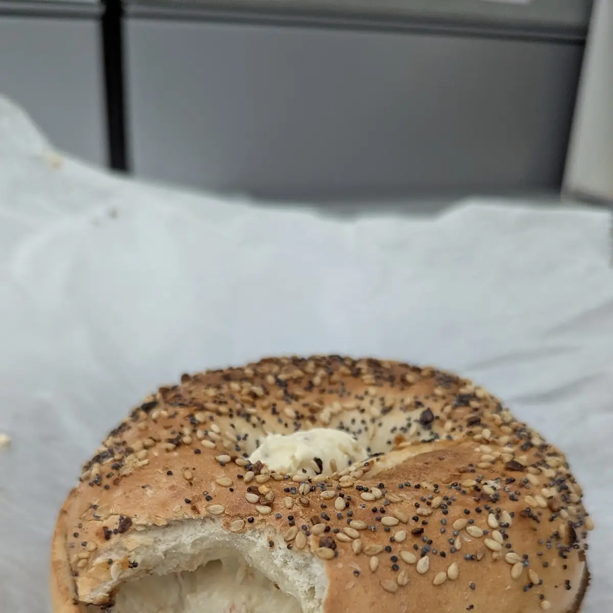 Everything Bagel