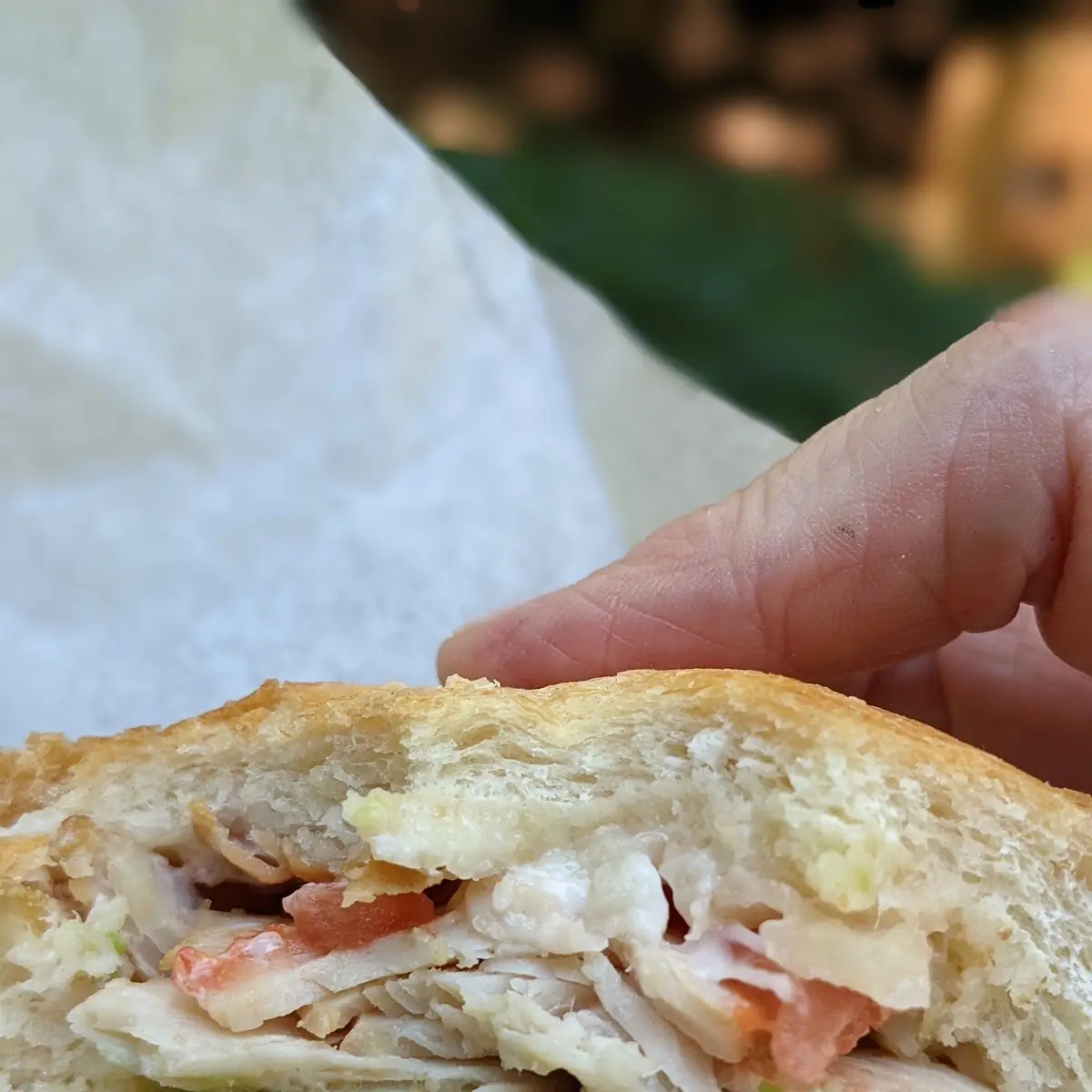 Chicken Sandwich