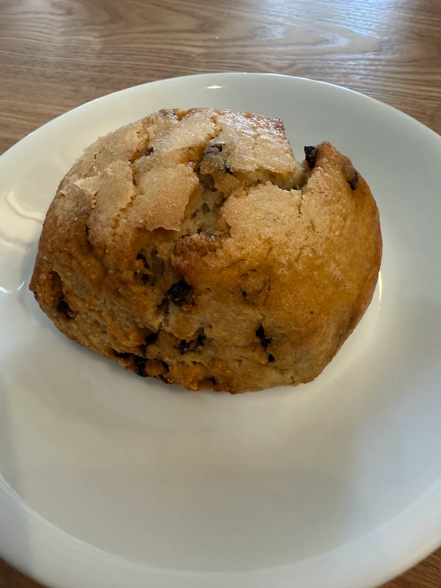 Blueberry Muffin