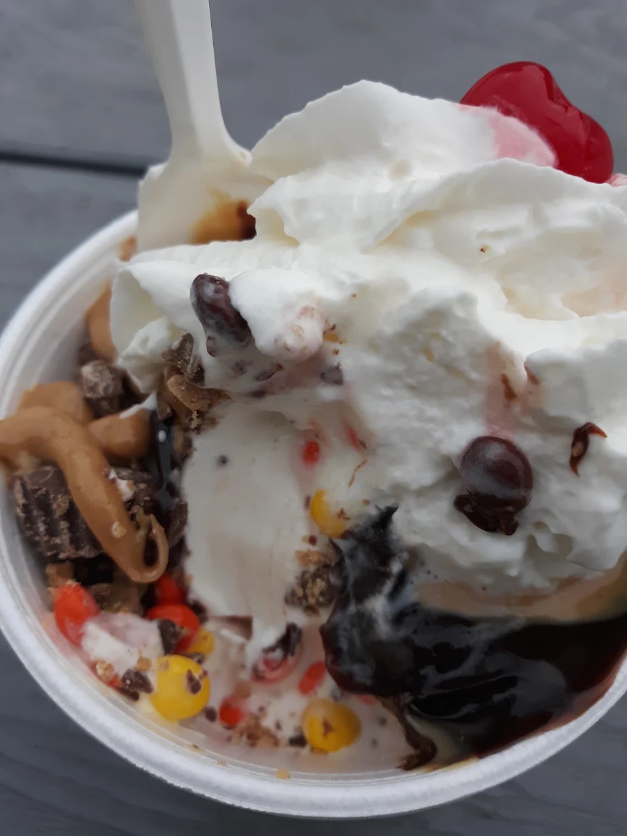 Sugar Free Turtle Sundae