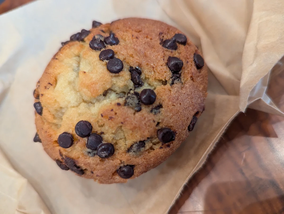 Chocolate Chip Muffin