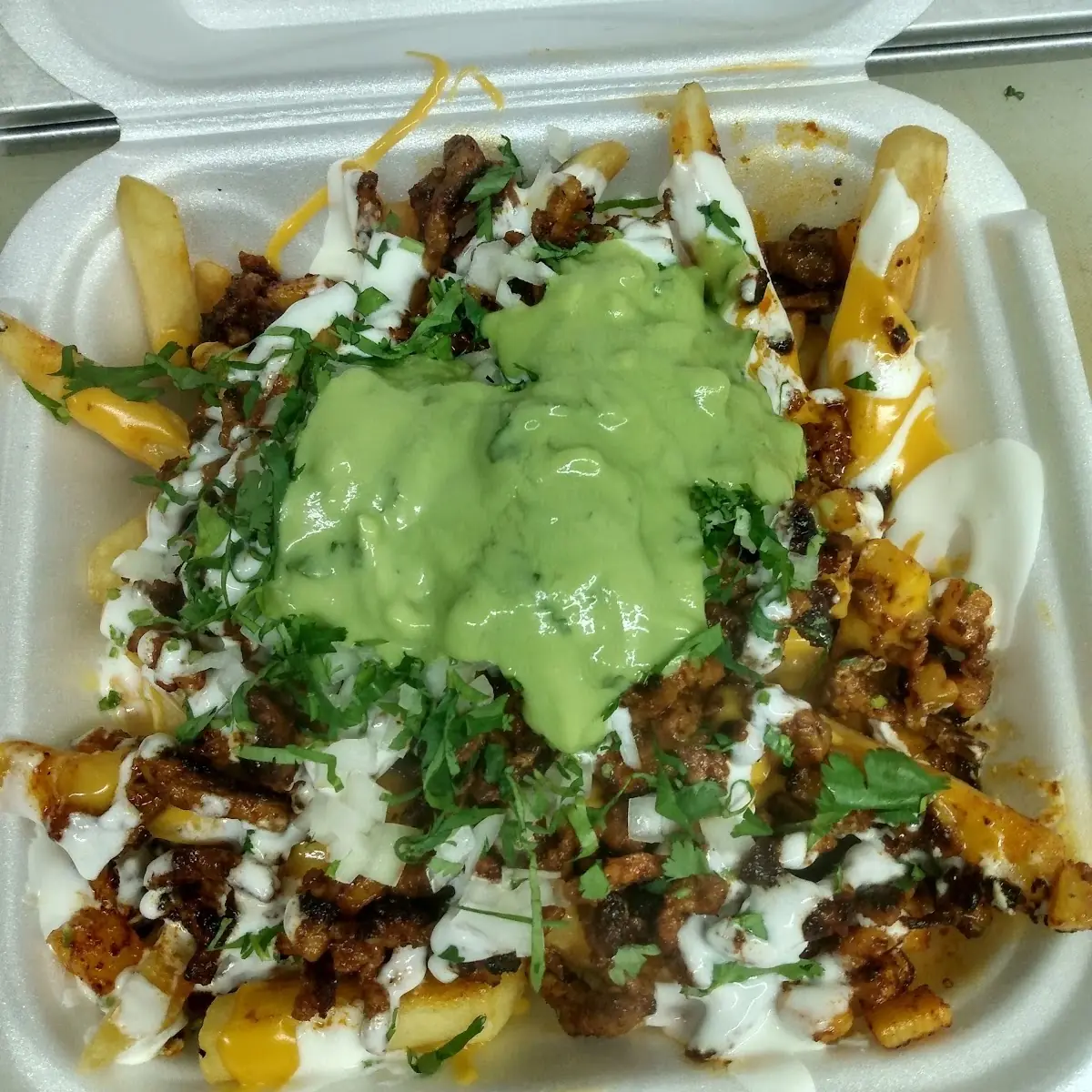 Carne Asada Fries