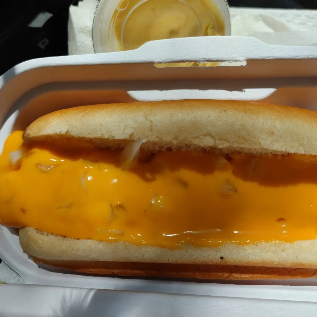 Cheese Dog