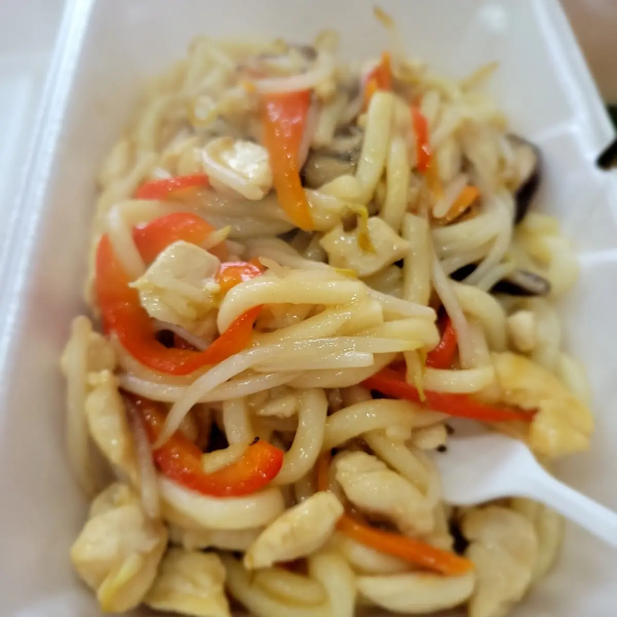 Chicken Udon