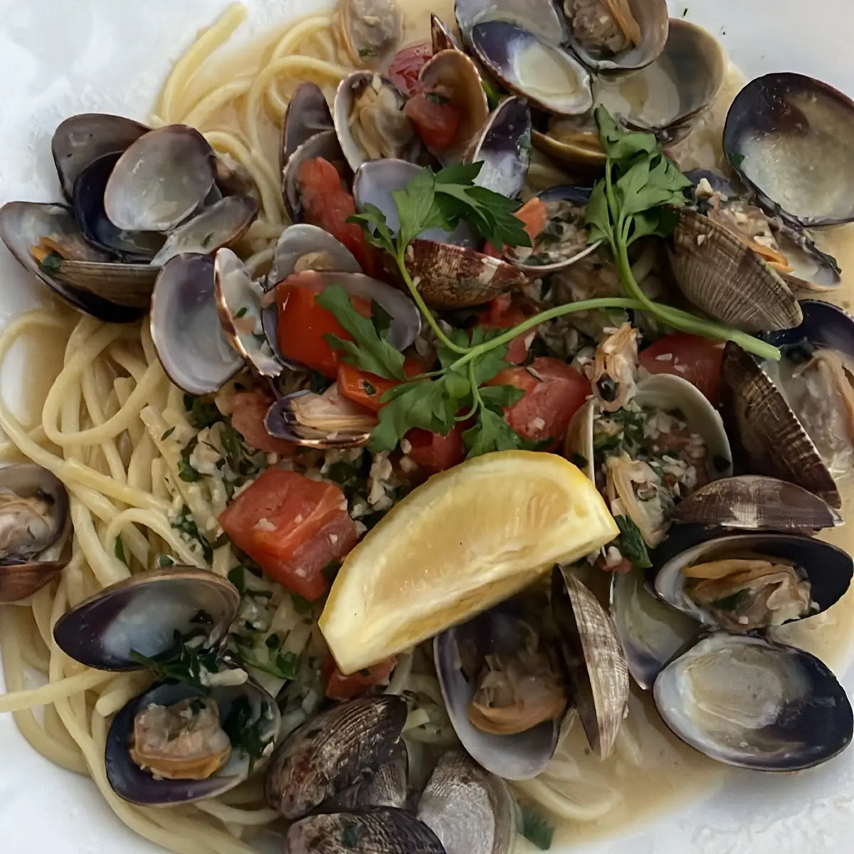 Clams Linguine with White Wine Sauce