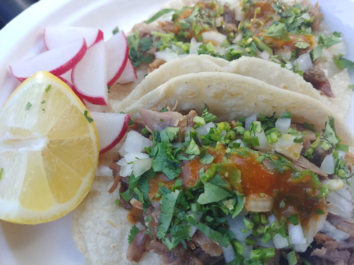 Plate of Carnitas Tacos
