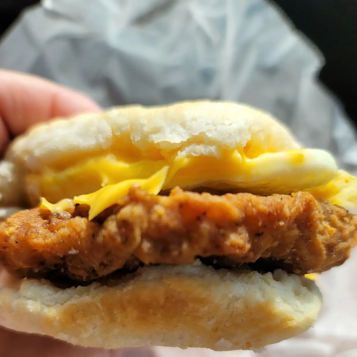 Egg & Cheese