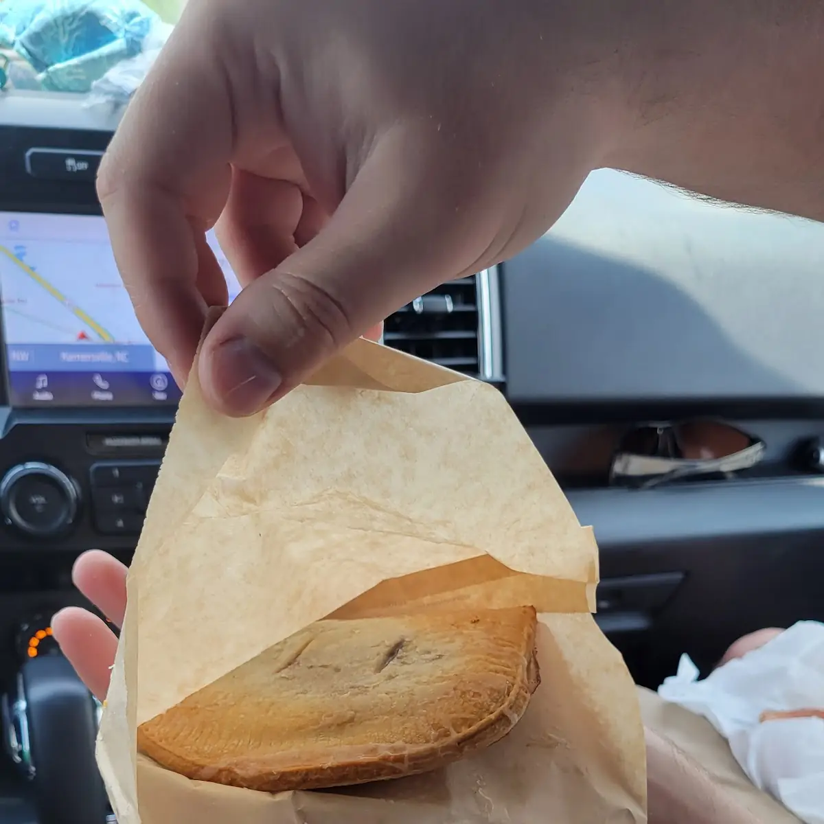 Mixed Berry Hand Pie