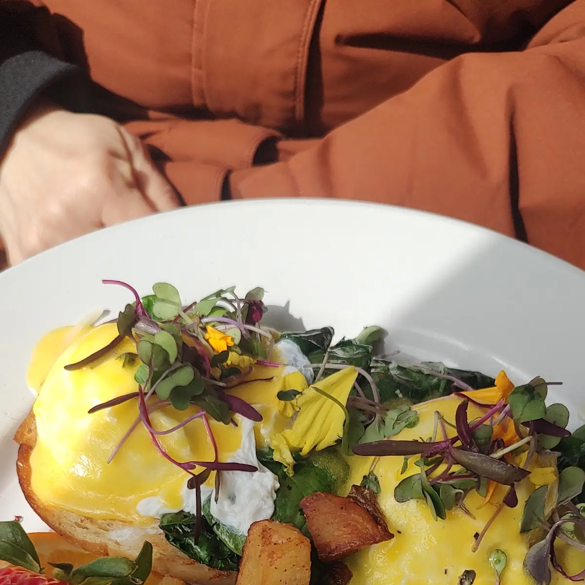 Farm Egg Omelette